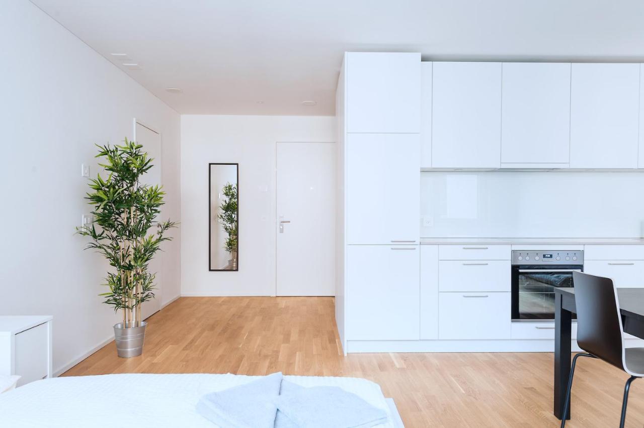 Hitrental Messe Apartments Basilej Exteriér fotografie