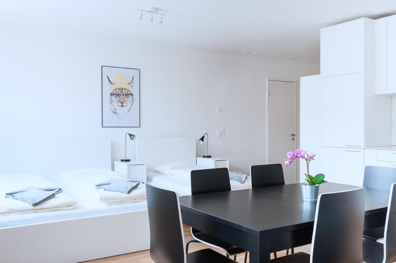 Hitrental Messe Apartments Basilej Exteriér fotografie